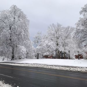 Meet your Posher, Antonio